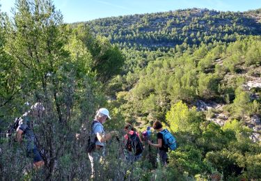 Excursión Senderismo Marsella - Calanque d'en Vau - Photo