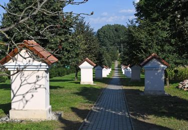 Excursión A pie Eszteregnye - K▲ (Obornak - Várdomb - Bocska) - Photo