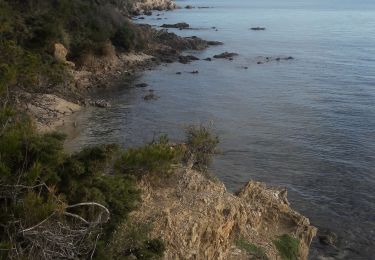 Excursión Senderismo Hyères - Gien - La Badine - Photo