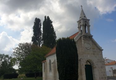 Tour Wandern Le Grand-Village-Plage - découverte oléron - Photo