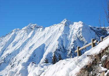 Percorso A piedi Ayas - Itinerario 3A Ru Cleva Bella - Photo