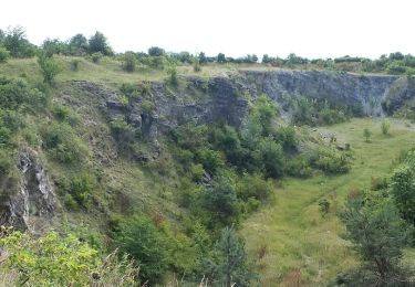 Excursión A pie Slatinky - NS Velký Kosíř - Photo