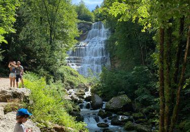 Randonnée Marche La Chaux-du-Dombief - Les chutes des Hérissons  - Photo