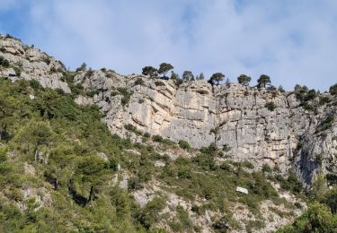 Excursión Senderismo Auriol - Auriol les Encanaux - Photo