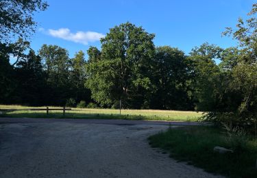 Trail Walking Compiègne - Randonnée en Forêt de Compiègne_51_le Mont du Tremble et les Beaux Monts - Photo