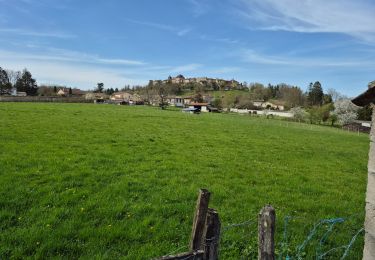 Randonnée Marche Pérouges - perouges - Photo