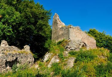 Trail On foot  - Cozmeni - Băile Balvanyos - Photo