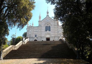 Tour Zu Fuß Zoagli - Rapallo - Montallegro - Monte Pegge - Passo della Serra - Photo