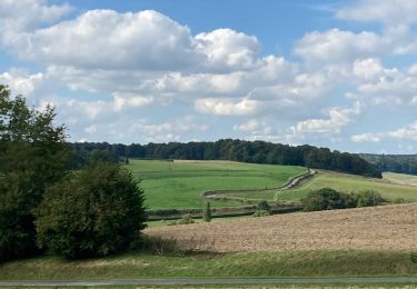 Randonnée Marche Lyons-la-Forêt - La Bosse, le Val Bagnard, les Trous Museaux, Lorleau, Lyons  - Photo