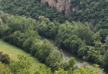 Randonnée Marche Bruniquel - bruniquel le cabeo - Photo