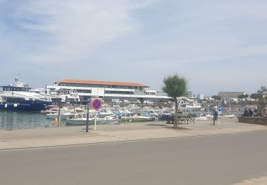 Randonnée Vélo électrique L'Île-d'Yeu - jour 4 ile d'Yeu - Photo