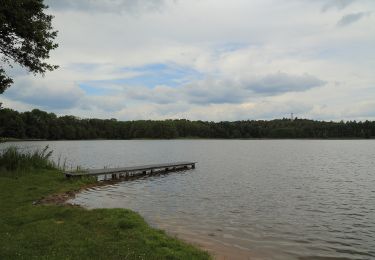 Tour Zu Fuß Märkische Heide - Rundwanderweg Groß Leuthener See - Photo