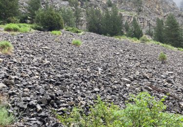 Randonnée Marche nordique Névache - Du camping de la lame à plani.  et retour - Photo