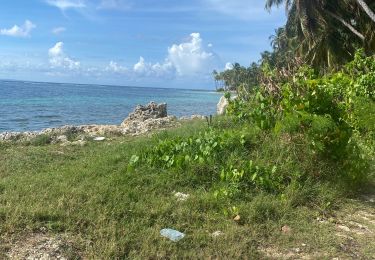 Tocht Trail Sainte-Anne - Trace du prince  - Photo