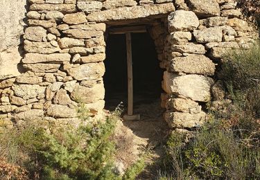 Tocht Stappen Vernègues - Vernegues huit autour du grand Puech, circuit numéro deux - Photo