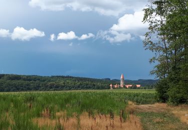 Randonnée Marche Kiischpelt - Eisleck Trail Jour 1 - Photo