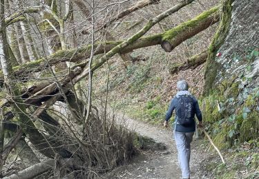 Randonnée Marche Bouillon - Corbion  - Photo