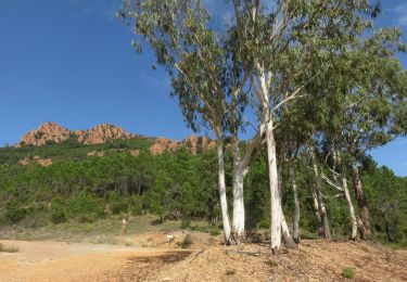 Tour Wandern Saint-Raphaël - Esterel : boucle pont du Grenouillet - col des Suvières  - Photo