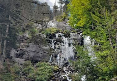 Tocht Stappen Cauterets - Refuge Wallon Marcaudo Pont d'Espagne - Photo