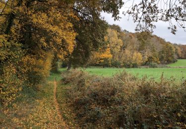 Tour Wandern Couesmes - Couesmes Château-la-Vallière la Gare - PR GRP Castelvalérie Marcilly Braye Villiers - 27km 280m 6h05 (40mn) - 2024 11 13 - Photo