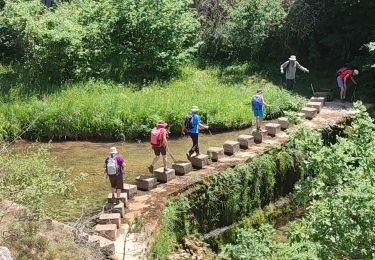 Excursión Senderismo Cassaignes - Rando Maryse Terres rouges  - Photo