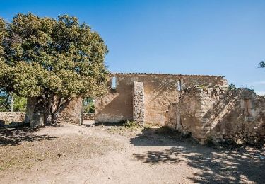 Tocht Stappen La Tour-d'Aigues - la tour d aigues la bastidonne - Photo