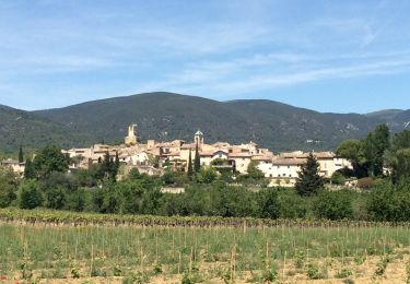 Randonnée Marche Cadenet - PF-Cadenet - De Cadenet à Lourmarin - 3 - Photo