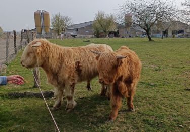 Percorso Marcia Gerpinnes - Gerpinnes  - Photo