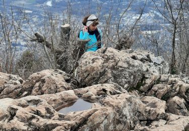 Tour Wandern La Tronche - Rachat Jonquilles  - Photo