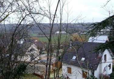 Tour Wandern Thomery - Th3 - Photo