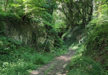 Tour Wandern Rivarennes - Rivarennes - Zig zag GR3 Cheillé - 23.4km 405m 5h05 (50mn) - 2024 06 09 - Photo