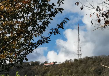 Excursión Senderismo Yvoir - GODINNE ... les Tiennes de Rouillon. - Photo