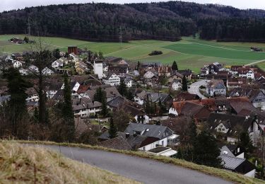 Tocht Te voet Oberembrach - Oberembrach - Breite - Photo