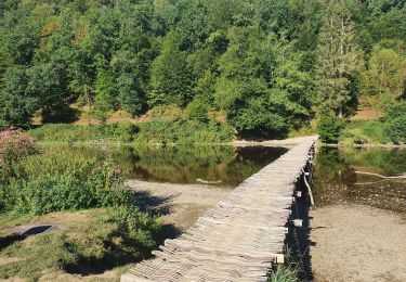 Excursión Senderismo Vresse-sur-Semois - rando vresse 24 -08-2022 - Photo