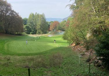 Tocht Stappen Talloires-Montmin - Annecy - Photo