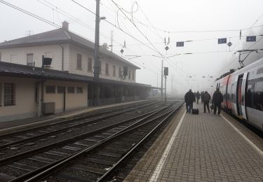 Tocht Te voet Straß in Steiermark - Rebenwanderweg Spielfeld - Photo