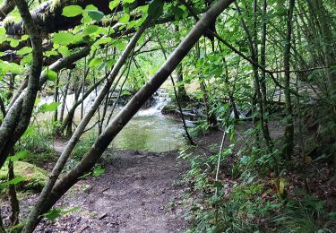 Tour Wandern Florenville - Orval Williers - Photo
