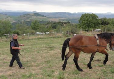 Excursión A pie Orbeil - Le Domaine de Vort - Photo