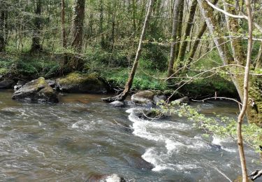 Tocht Stappen Saint-Philbert-sur-Orne - circuit des méandres  - Photo