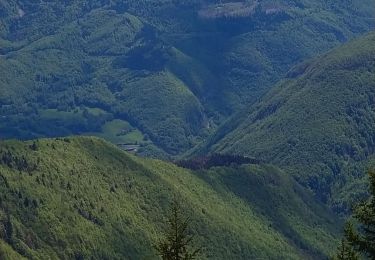 Randonnée Marche La Pesse - Crêt de Chalam  - Photo