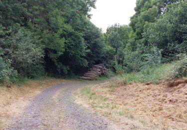 Percorso Marcia Verrières - DOLMEN ET CASCADE DE SAILLANT DEPUIS VERRIERES - Photo