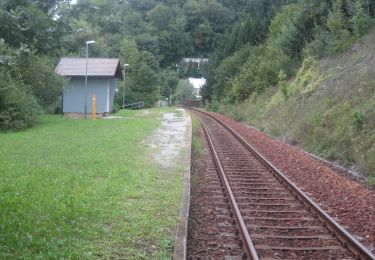 Percorso A piedi Gemeinde St. Veit an der Gölsen - Schwarzenbacher Rundwanderweg 01 - Photo