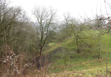 Tour Zu Fuß Untergruppenbach - Untergruppenbach Rundwanderweg R - Photo