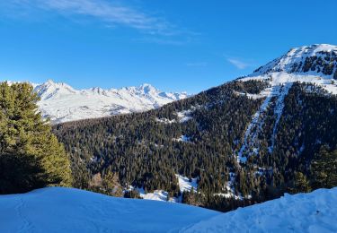 Tour Schneeschuhwandern La Plagne-Tarentaise - Bellecôte, Plagne Soleil, Centre, 1800 - Photo