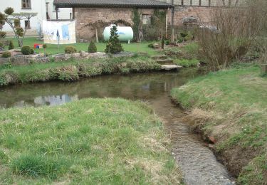 Randonnée A pied Neuhütten - Örtlicher Wanderweg Wiesthal 4 - Photo