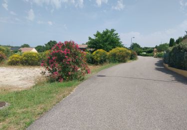 Tocht Wegfiets Montjoyer - vl mtj - Photo