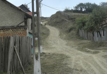 Excursión A pie Șopotu Nou - Ravensca – Garnic – Carbunari (Red dot tourist path) - Photo