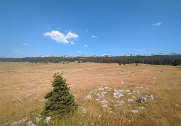 Tocht Stappen Saint-Agnan-en-Vercors - Rocher de la Peyrouse - Photo