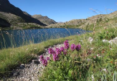 Excursión Senderismo Saint-Dalmas-le-Selvage - lacs de vens et vallon de tortisse - Photo