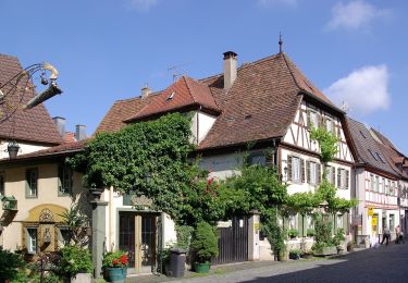 Excursión A pie Sommerhausen - Sommerhausen - Sulzfeld - Photo